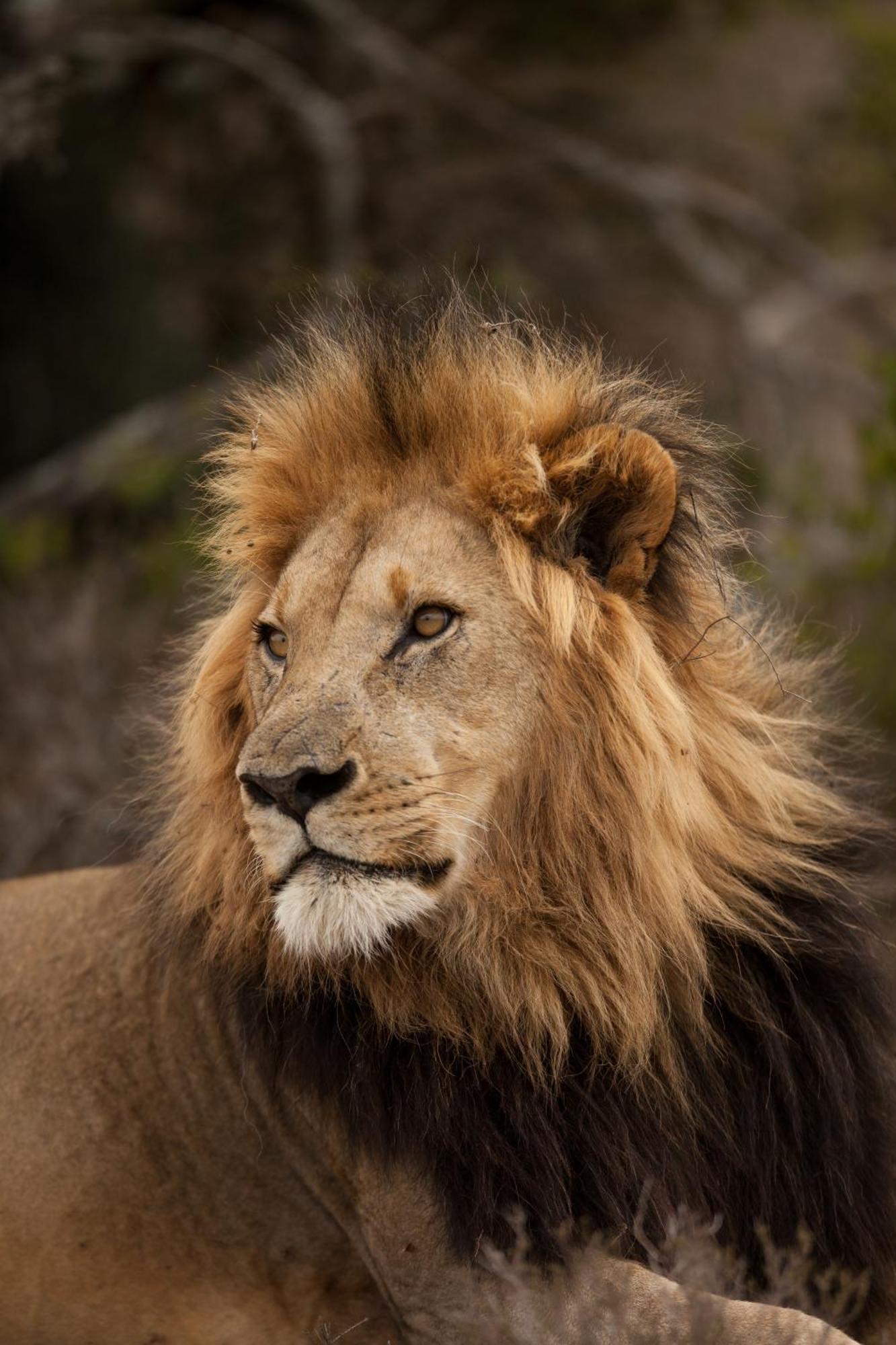 Kwandwe Private Game Reserve - Great Fish River Lodge غراهامستاون المظهر الخارجي الصورة