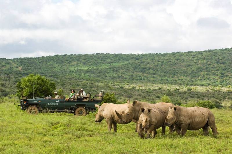 Kwandwe Private Game Reserve - Great Fish River Lodge غراهامستاون المظهر الخارجي الصورة