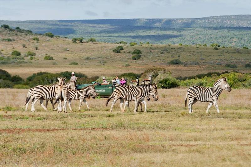 Kwandwe Private Game Reserve - Great Fish River Lodge غراهامستاون المظهر الخارجي الصورة