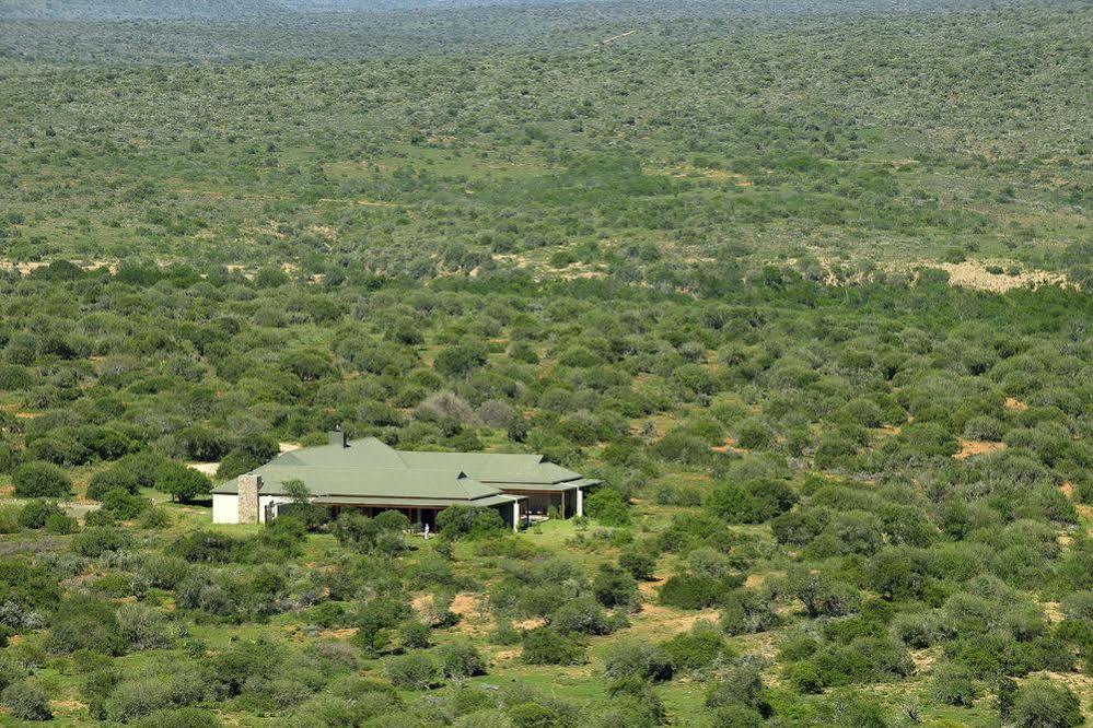 Kwandwe Private Game Reserve - Great Fish River Lodge غراهامستاون المظهر الخارجي الصورة