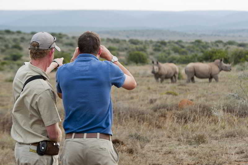 Kwandwe Private Game Reserve - Great Fish River Lodge غراهامستاون المظهر الخارجي الصورة