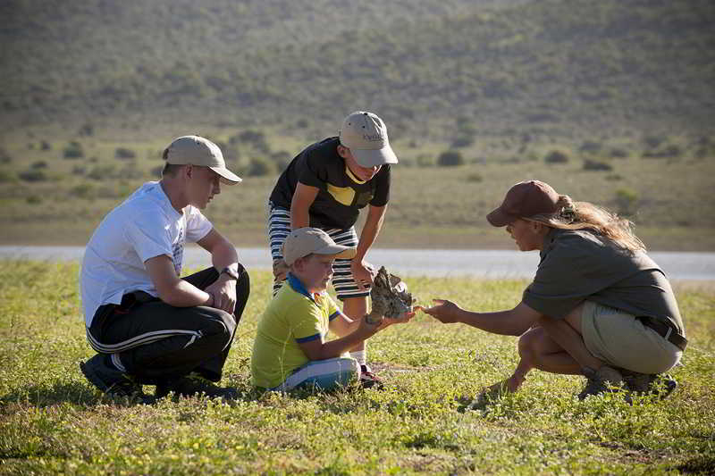 Kwandwe Private Game Reserve - Great Fish River Lodge غراهامستاون المظهر الخارجي الصورة
